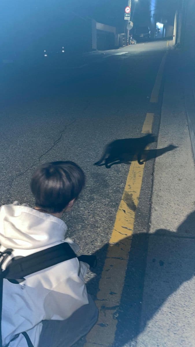 윤재하